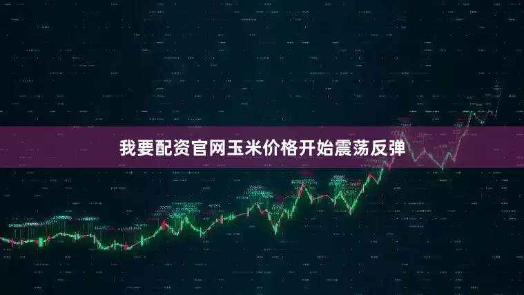 我要配资官网玉米价格开始震荡反弹