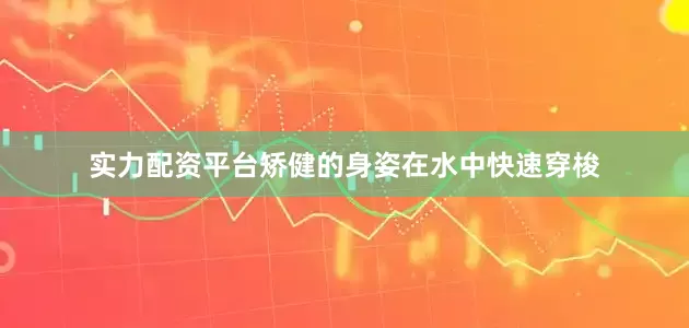 实力配资平台矫健的身姿在水中快速穿梭